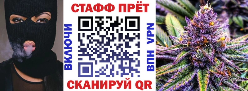Какие есть наркотики Кингисепп Кокаин Псилоцибиновые грибы omg ссылки Альфа ПВП Каннабис