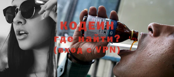 индика Корсаков
