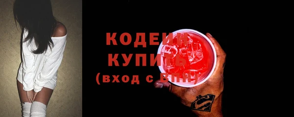 индика Корсаков