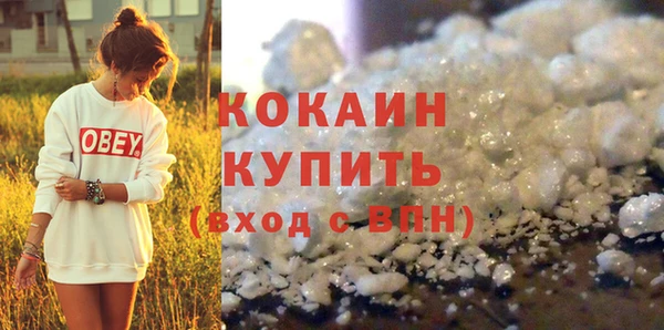 индика Корсаков