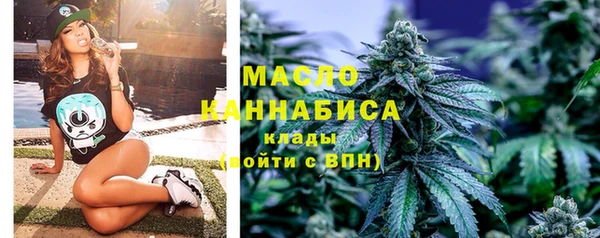 индика Корсаков