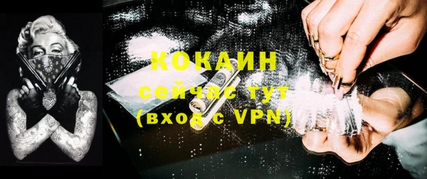 индика Корсаков