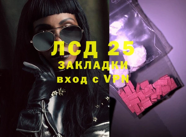 индика Корсаков