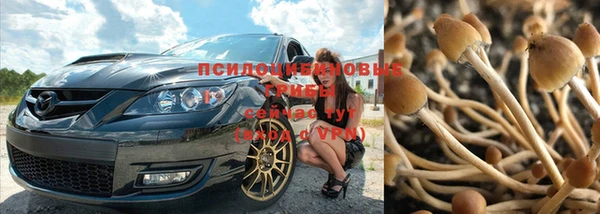индика Корсаков