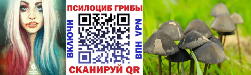 Псилоцибиновые грибы мухоморы что такое сайты даркнета телеграм Кингисепп
