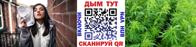 Канабис Bruce Banner  Кингисепп 